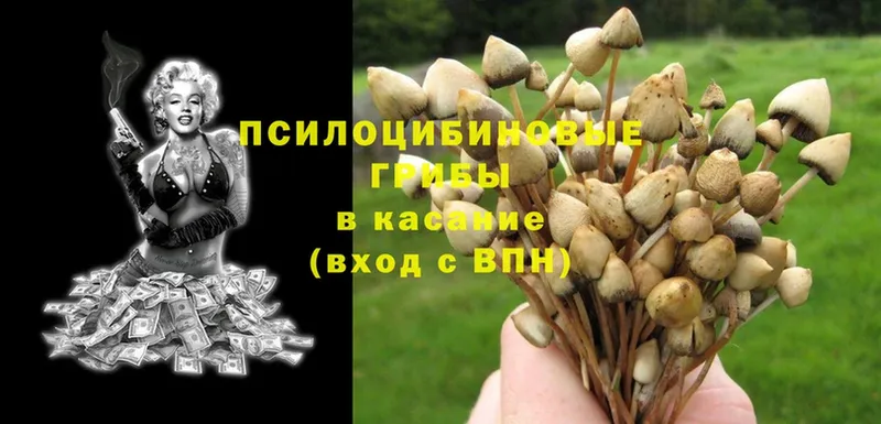 Галлюциногенные грибы MAGIC MUSHROOMS  Бодайбо 